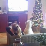 agirlpower - @amberhaagsman - Instagram