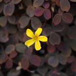 Amber Haller - @aoh.artworks - Instagram
