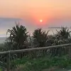 AmberMHassall - @amberwaughhassall - TikTok