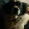 David Heinlen - @amberheinlen - TikTok