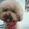 Amber Hung - @amber.hung8 - TikTok