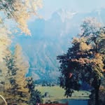 Hyman Gamber - @hymangamber - Instagram