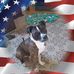 Amber Ickes - Facebook
