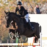 amber-jade massyn🇿🇦 - @ambs.equestriann_ - Instagram