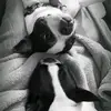 Amber Jimenez - @amber.jimenez31 - TikTok