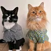 shane - @joseph.amber33 - TikTok