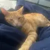 Amber Justice - @amber.justice80 - TikTok