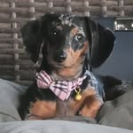 Amber Keener - @keener3868 - Instagram