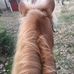 Amber Knee - Facebook