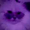 Amber Lambuth - @amberlambuth - TikTok