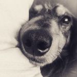 Amber Lawless - @a_lawless1 - Instagram