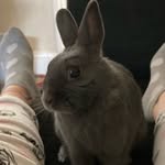 Amberlea Reynolds - @amberleaboyd - Instagram