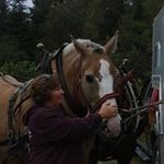 Amber Leavitt - @leavitt.amber - Instagram