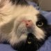 Amber Legault - Facebook