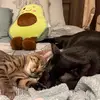 Amber - @lemayamber2 - TikTok