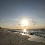Amber Lemon - @aelemon21 - Instagram