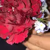 Amber Lemon - @lillybeanbag4 - TikTok