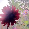 Amber Lennox - @lennoxamber - TikTok