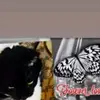 AmberLeopoldc9h_6 - @amberleopoldc9h_6 - TikTok