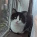 Amber Nicole Lippert - Facebook