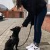 Amber Leroy - Facebook