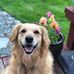 Amber Lesher - Facebook