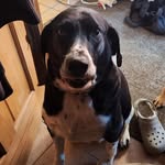 Amber Blevins - @amber.blevins.501 - Instagram