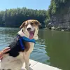 Amber Blevins - @amberblevins55 - TikTok