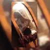 Amber Blevins - @amberblevins4 - TikTok