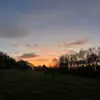 amber_lew0 - @amber_lew0 - TikTok