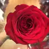 amber Liang - @amber.liang7 - TikTok