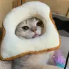 Amber Liang - @amber.liang1 - TikTok