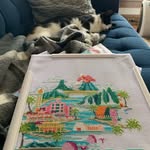 Amber Liddle - @midweststitcher - Instagram