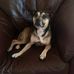 Amber Liddle - Facebook