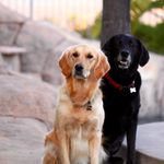 Amber Jo Lightfoot Leavy - @gramber11305 - Instagram