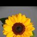 Ambar Lillo - Facebook
