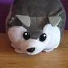 Amber Lindquist - @amberlindquist - TikTok