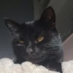 Amber - @_amber_linnell - Instagram