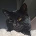Amber Linnell - Facebook