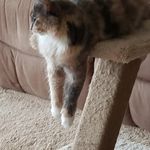 Amber Lippert - @amberlippert - Instagram