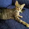 Amber Lippert - @amber.lippert - TikTok