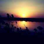 رسول طالب - @amber.locklear.906 - Instagram