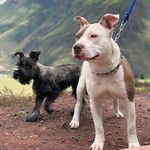 Amber Y Luna - @amber_luna_and_sky - Instagram