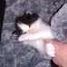 Amber Maas - Facebook