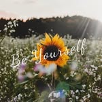 BeautyFull 🌻🖤 - @amber.maree_ - Instagram