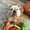Amber & Marley & Jelly Roll - @marley_mama_jro - TikTok