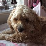 Amber Marley - @amber.2012_ - Instagram
