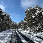 Amber McCorkell - @mccorkellamber - Instagram