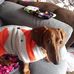 Amber McCoy - Facebook