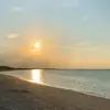 Amber McCoy - @ambergmccoy - TikTok